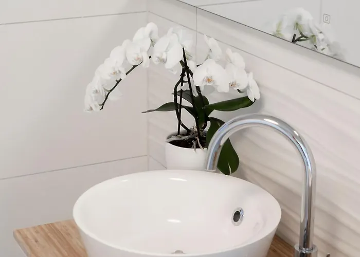 Rosemary Trieste Hermes Art